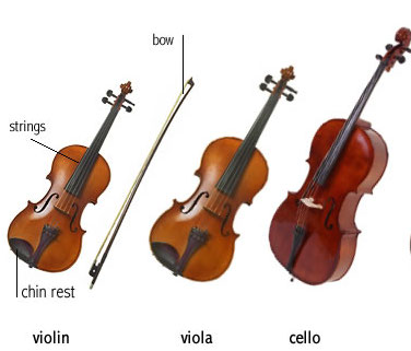 Traditional Instruments | History of the String Quartet